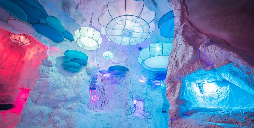 An immersive art experience highlighting global issues 