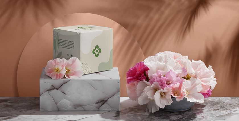 Bambox unveils sustainable alternative to old loo roll design