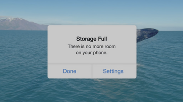 The Apple of Google’s i