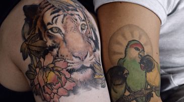 Lynx wants to keep tattoos looking fresh
