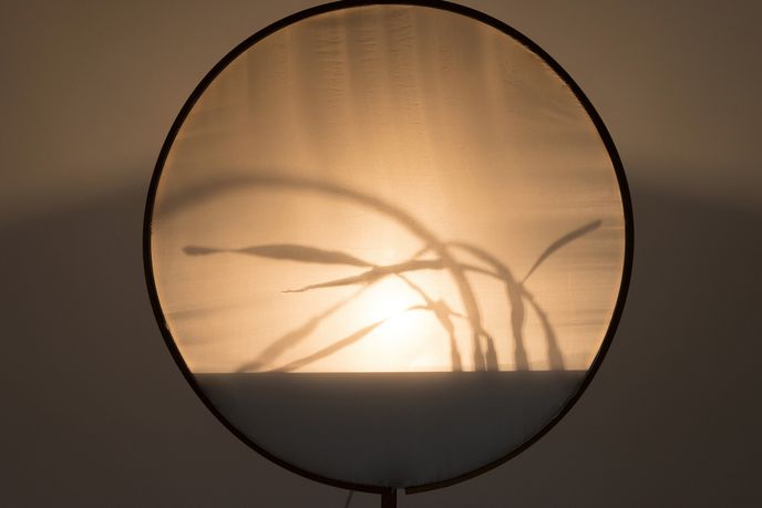 Shadow Play, Weng Xinyu 