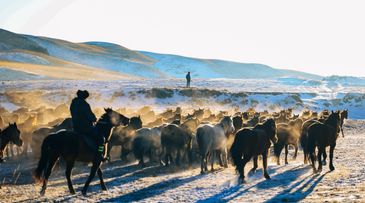 The North Face fuses ancient art with performance gear