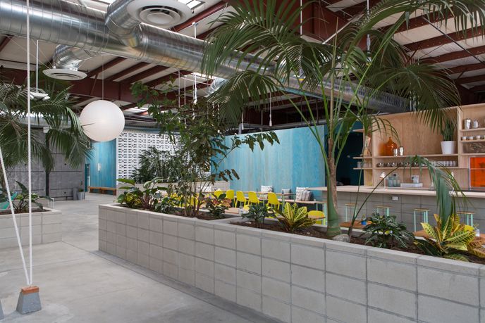 The Springs, Holistic Wellness Centre by 'Design, Bitches', Los Angeles. Photography by Laure Joliet