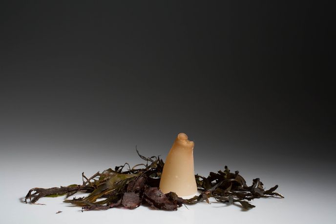 Biodegradable Bottle by Ari Jónsson, Iceland