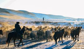 The North Face fuses ancient art with performance gear