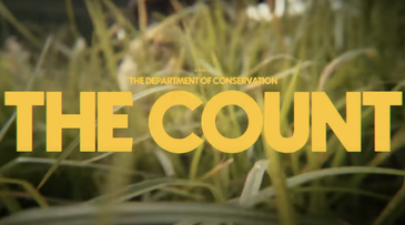 New Zealand counts 695bn citizens to rally nature protection