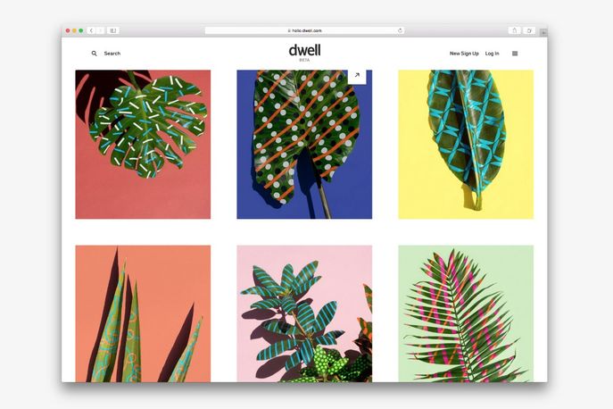 Dwell.com, Global