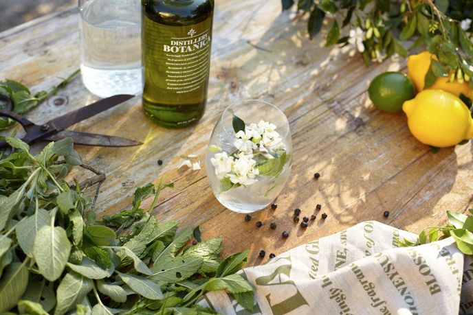 Distillery Botanica, Sydney