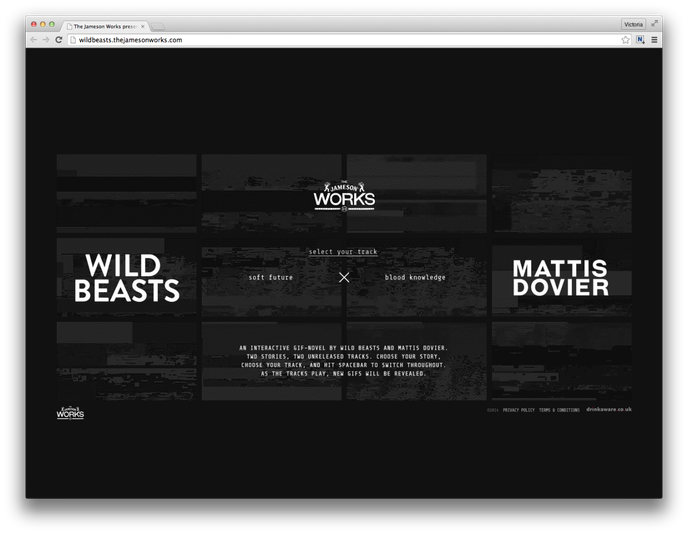 Wild Beasts x Mattis Dovier for Jameson Works
