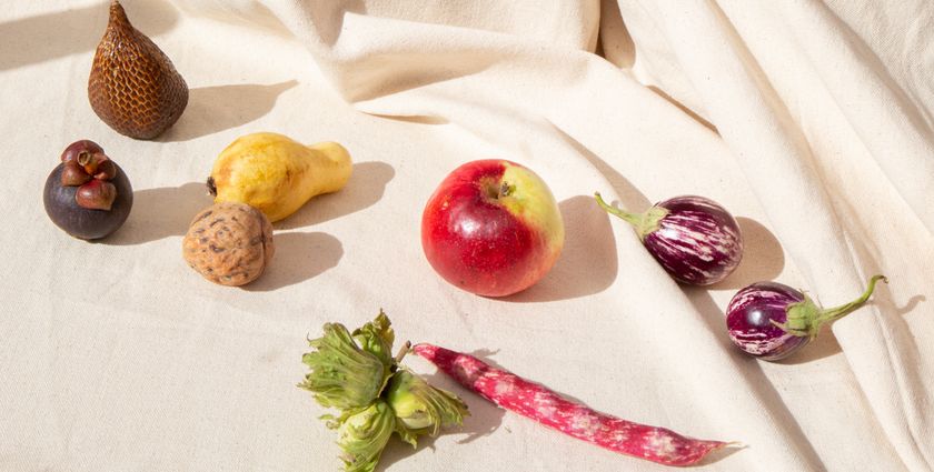 A degrowth manifesto for food over-consumption