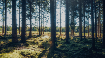 The Holiday & Travel Show 2026: Why experience-led staycations are defining the future of travel