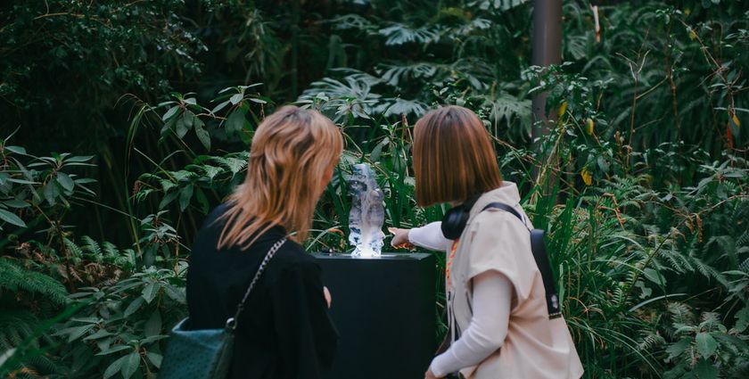 OpenArea reframes nature as cultural canvas with new London festival