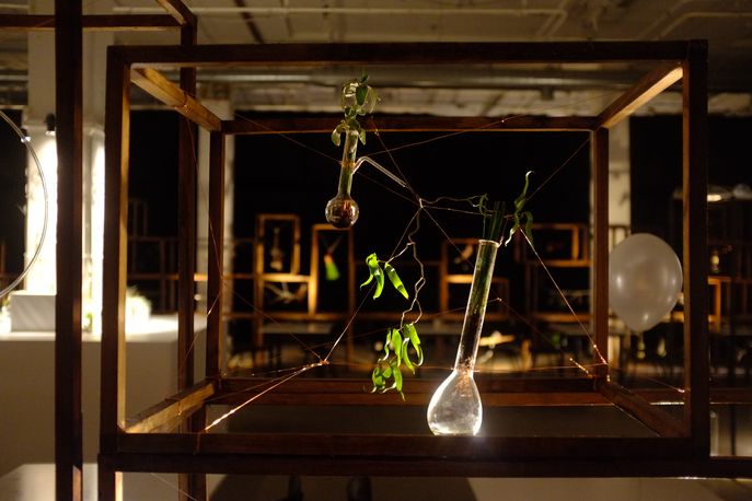 Waldorf Project by Sean Rogg, London