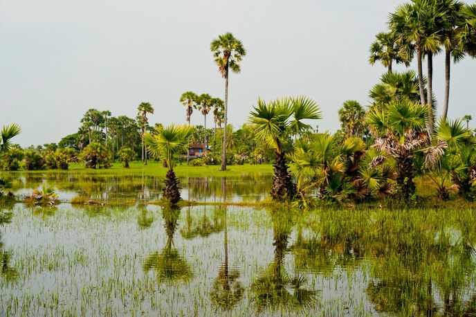 Aqua Expeditions, Vietnam