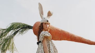 The Vegetable Patch is Becoming Aspirational