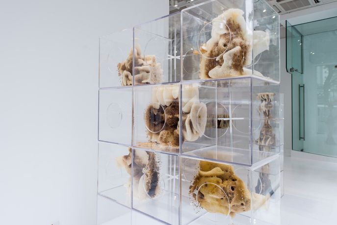 Yuansu Project by Ren Ri at Pearl Lam Gallery, Hong Kong