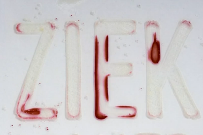 Lemz Agency and Netherlands Nutrition Centre, Food Poisoning Campaign