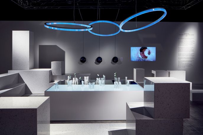 Swarovski Designers of the Future Award 2017, Basel