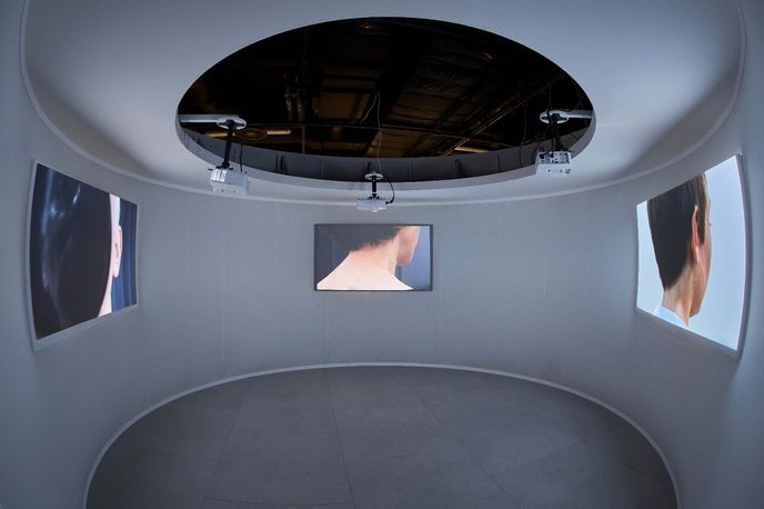 This is a Voice at Wellcome Collection, London. Photography by Michael Bowles