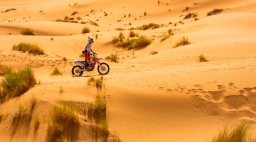 Thought-starter: Are luxurians embracing their primitive side?