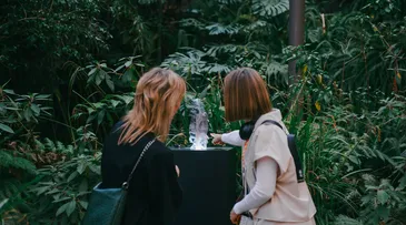 OpenArea reframes nature as cultural canvas with new London festival