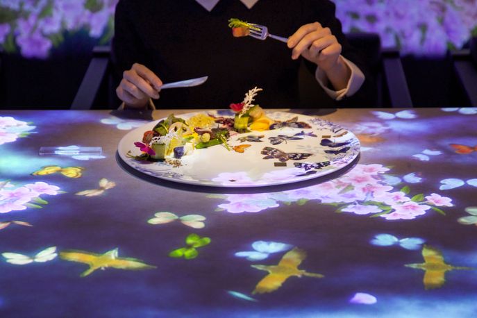 Worlds Unleashed and then Connecting by teamLab, SAGAYA, Tokyo