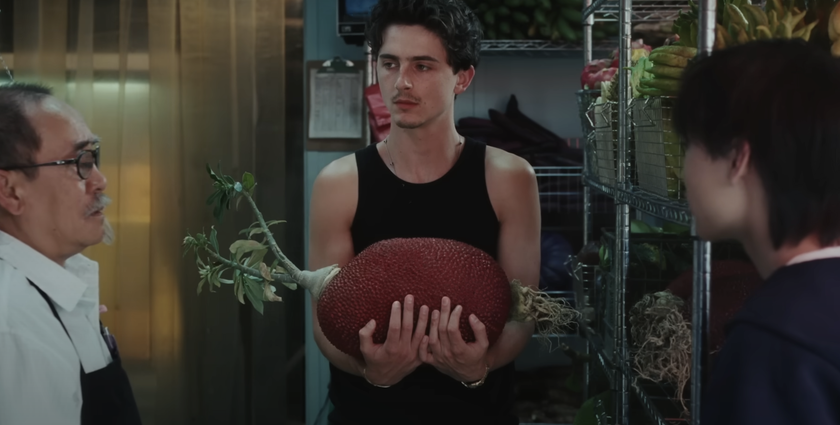 Cash App taps Timothée Chalamet for youth-friendly money talk
