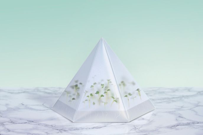 Microgarden Growing Kit by Tomorrowmachine