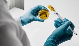 The Big Idea: Future Food Tech 2025: Resilience by Design 