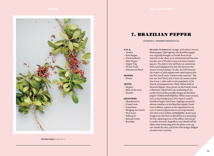 Forager: A Subjective Guide to Miami's Edible Plants by Tiffany Noe