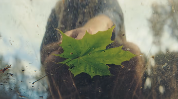 Natuurhuisje frames nature as the protagonist in new brand campaign