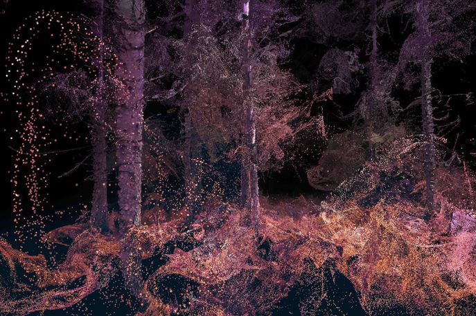 In the Eyes of the Animal by Marshmallow Laser Feast commissioned for Abandon Normal Devices and Forest Art Works, UK. Photography by Luca Marziale 
