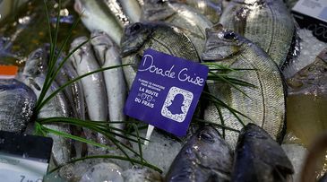 This supermarket’s Snapchat campaign proves its fish is fresh