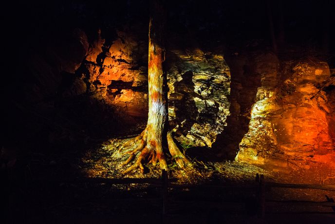 Forest Lumina by Moment Factory, Quebec