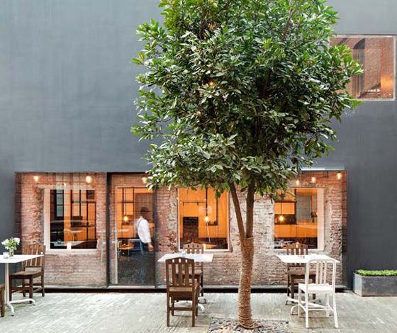 Social Commune Restaurant