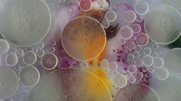 Future Forecast 2026: Beauty