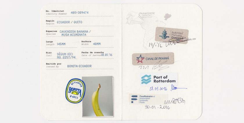 Banana Story is demystifying supply chains