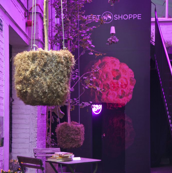 Sweet Shoppe