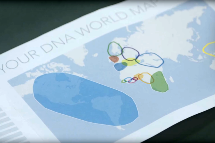 Momondo, Global