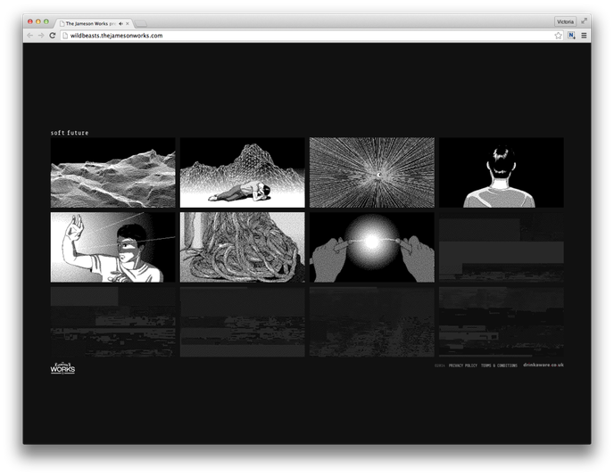 Wild Beasts x Mattis Dovier for Jameson Works