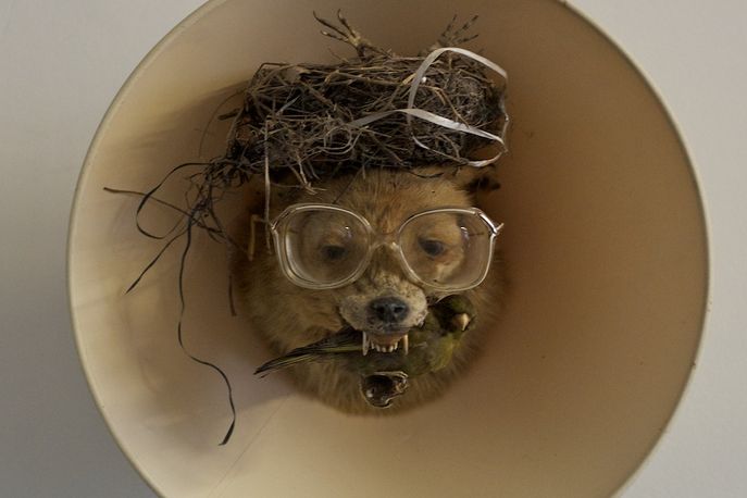 Diesel School of Taxidermy