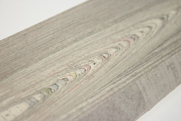 NewspaperWood - Mieke Meijer together with Vij5