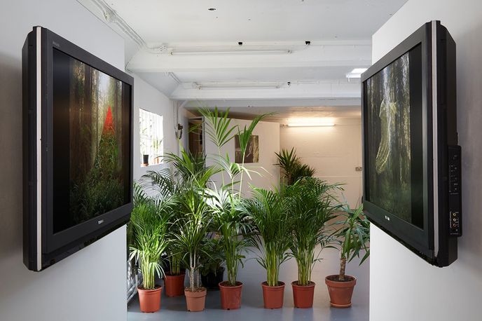 Installation at Fig-2 curated by POSTmatter at ICA, London. Photography by Benjamin Cosmo Westoby