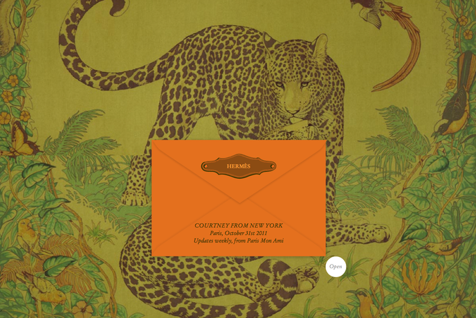 Hermes Paris Mon Ami website