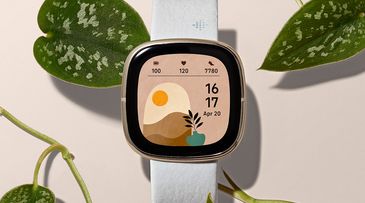  Fitbit now integrates health data into addiction recovery app