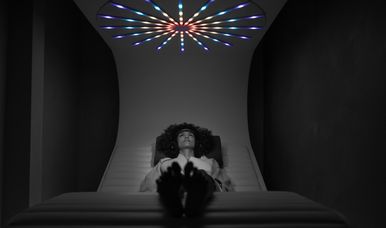 The Wellness Reset