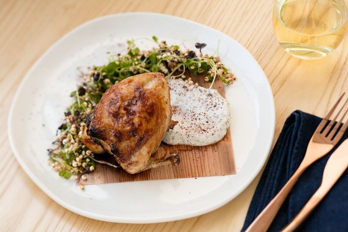 True Food and Yoga, New Zealand
