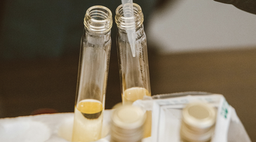 Vow launches lab-grown exosomes for skin repair