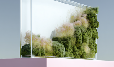 New Naturalism