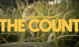 New Zealand counts 695bn citizens to rally nature protection